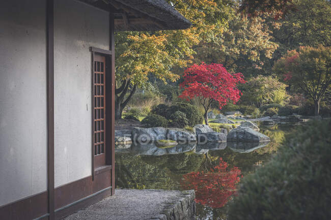 Allemagne, Hambourg, étang brillant et bord de la maison de thé japonaise dans le parc Planten un Blomen — Photo de stock
