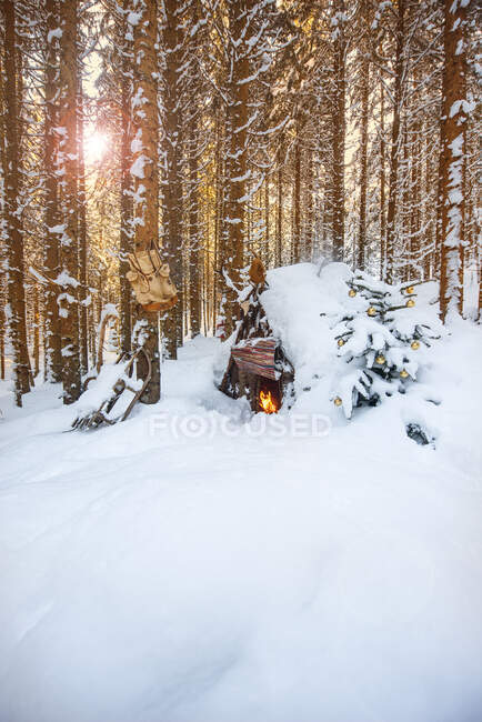 Autriche, Salzbourg, Altenmarkt-Zauchensee, Petite cabane en bois et feu de camp dans la forêt couverte de neige épaisse — Photo de stock