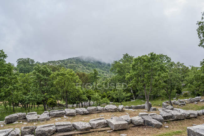 Grecia, Oichalia, Foresta verde vista dal sito archeologico di Bassae — Foto stock