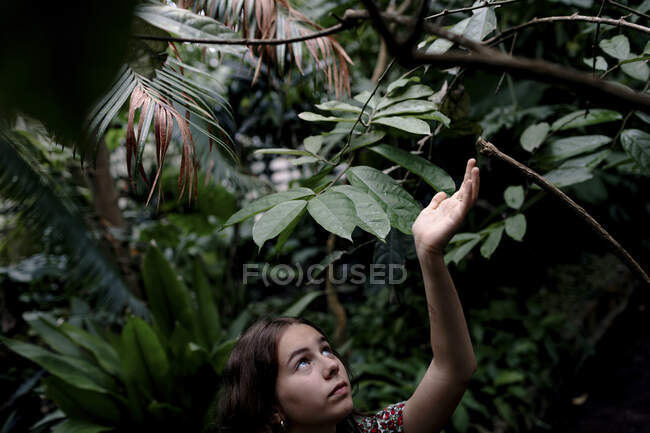 Женщина-подросток в Ботаническом саду смотрит на листья — стоковое фото