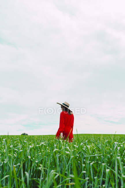 Жінка в червоній сукні і солом'яному капелюсі, що йде на полі — стокове фото