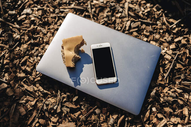 Brötchen mit Käse und Smartphone auf Laptop im Garten — Stockfoto