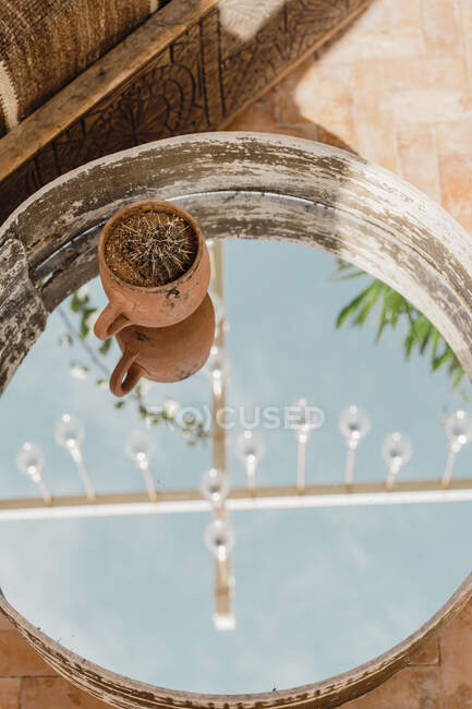Morocco, Cactus planted in clay mug standing on shiny mirror — Stock Photo