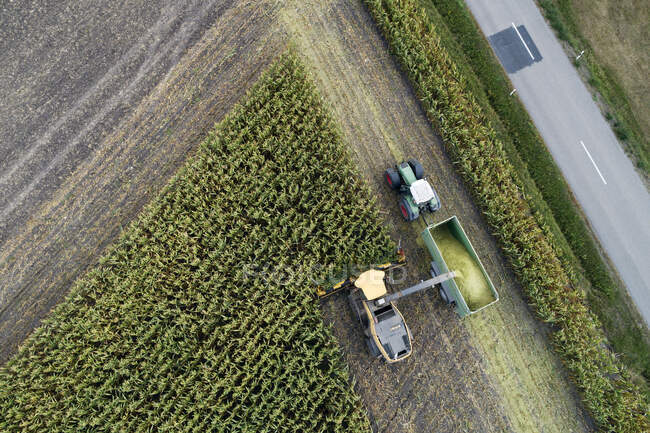 Germania, Baviera, Drone vista di combinare e trattore raccolta di mais — Foto stock