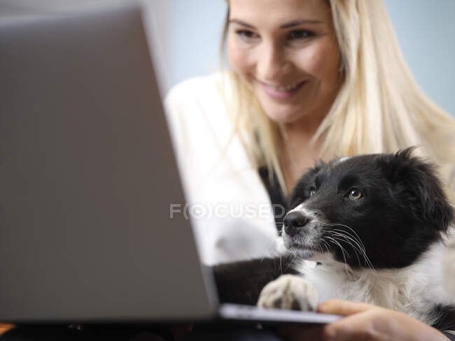 Посмішка бізнес-леді з собакою за допомогою ноутбука. — стокове фото