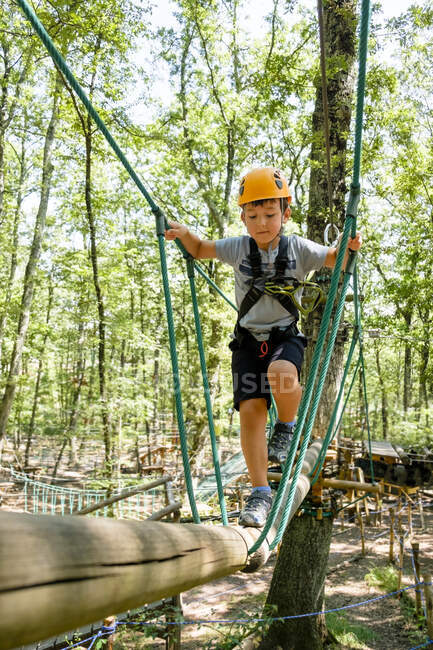 Boy on a high rope course in forest — Stock Photo