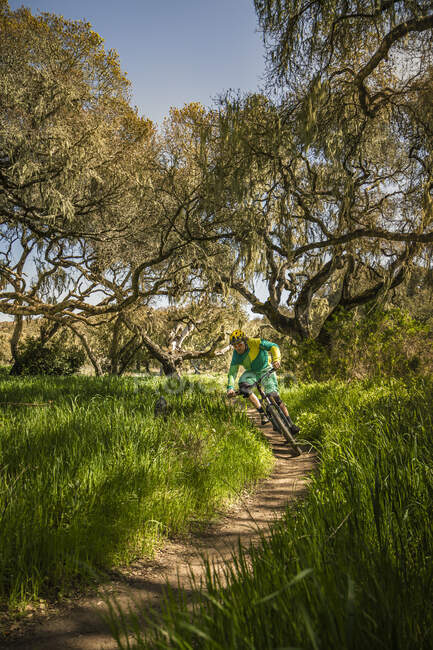 Man riding mountainbike on forest track, Fort Ord National Monument Park, Monterey, California, USA — Stock Photo