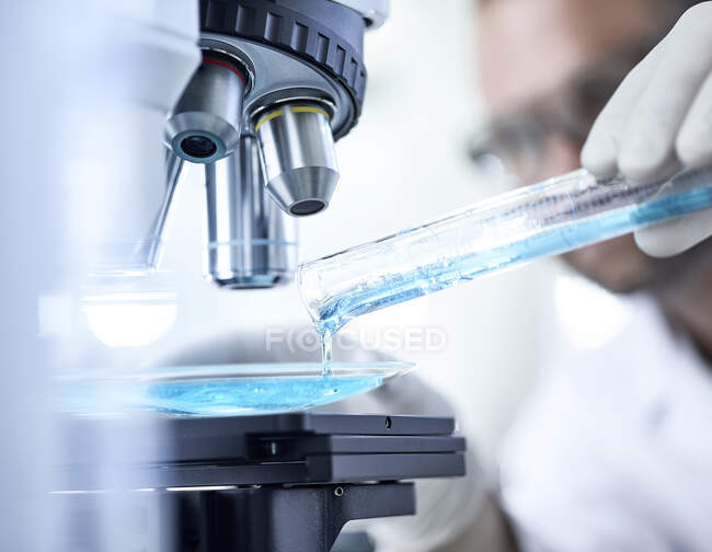 Науковець виливає блакитну рідину в чашу під мікроскопом. — стокове фото
