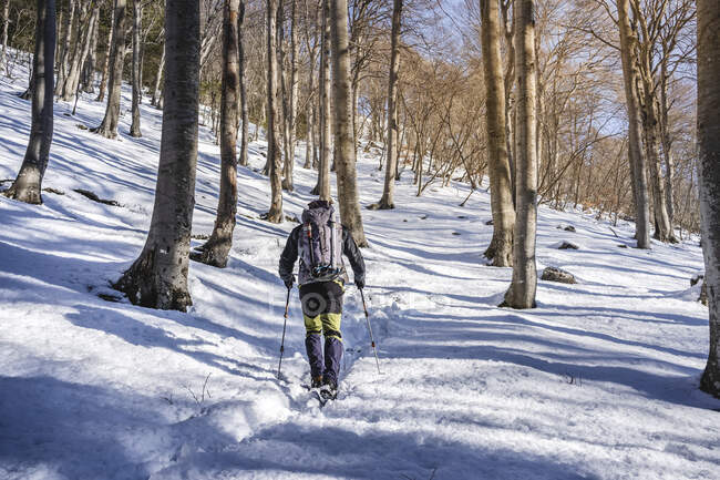 Vista trasera del hombre senderismo en el bosque cubierto de nieve, Alpes Orobie, Lecco, Italia - foto de stock