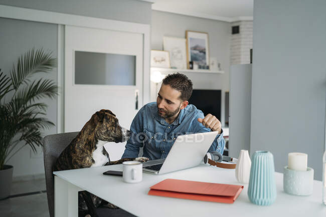 Homme regardant le chien tout en travaillant de la maison sur ordinateur portable pendant l'épidémie de coronavirus pandémie, Almeria, Espagne, Europe — Photo de stock