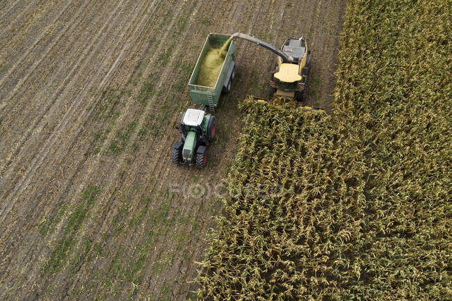 Alemanha, Baviera, Drone view of combine and tractor harvesting corn — Fotografia de Stock