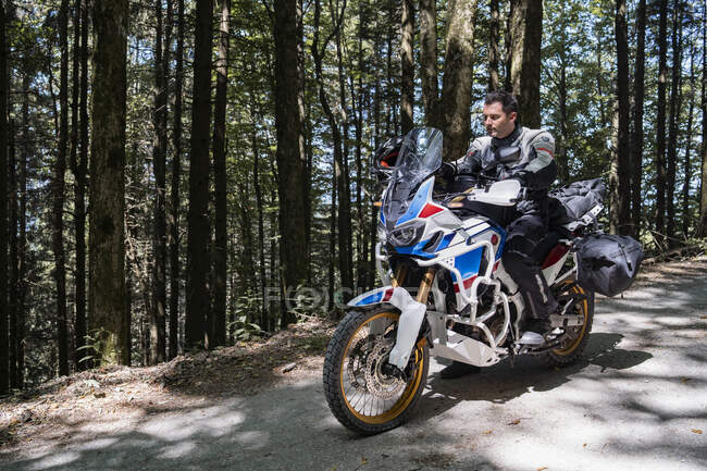 Motociclista em uma viagem em uma estrada florestal — Fotografia de Stock