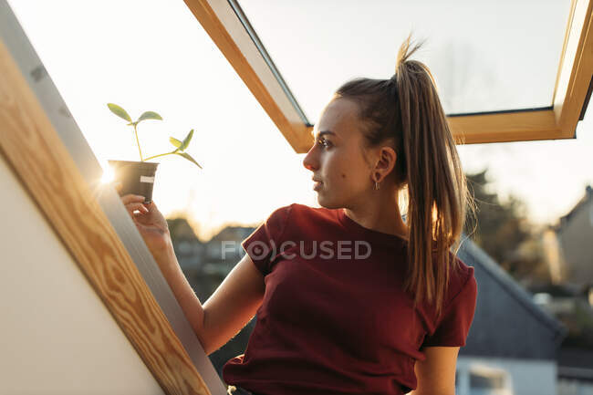 Giovane donna che tiene pianta in vaso alla finestra in controluce — Foto stock