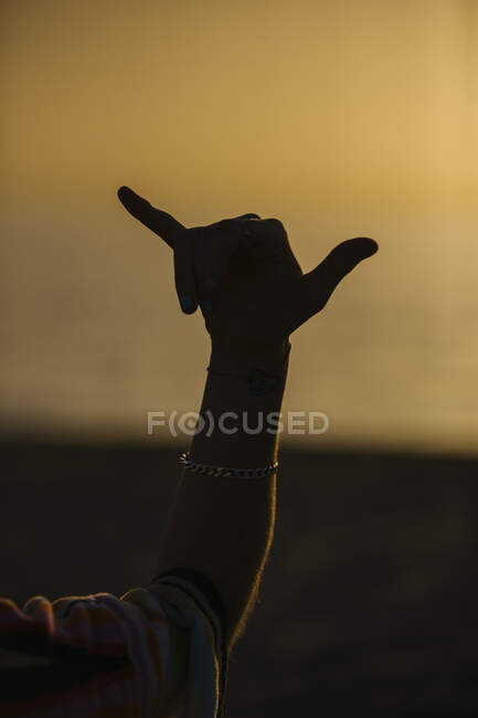 Silhouette de la main montrant le signe shaka — Photo de stock