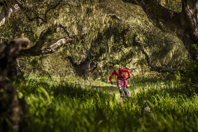 Donna in mountain bike su pista forestale, Fort Ord National Monument Park, Monterey, California, Stati Uniti — Foto stock