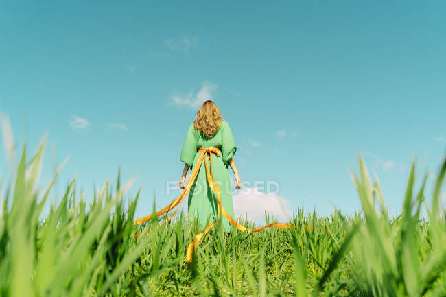 Vista posteriore della giovane donna che indossa un abito verde in piedi in un campo con nastri avvolti intorno alla vita — Foto stock