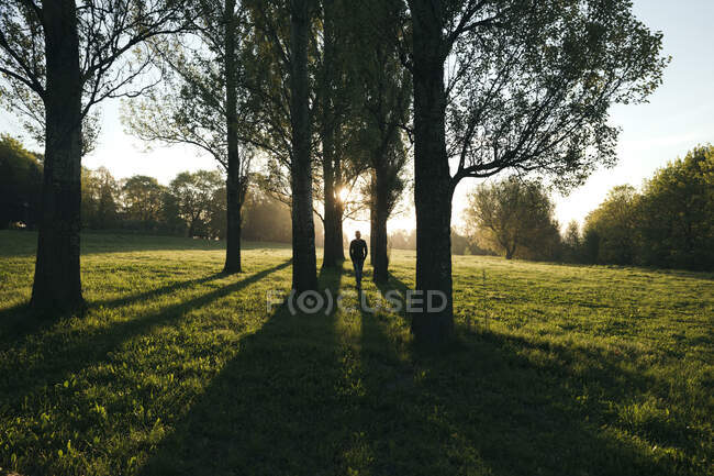 Silhouette dell'uomo che cammina in un parco all'alba — Foto stock
