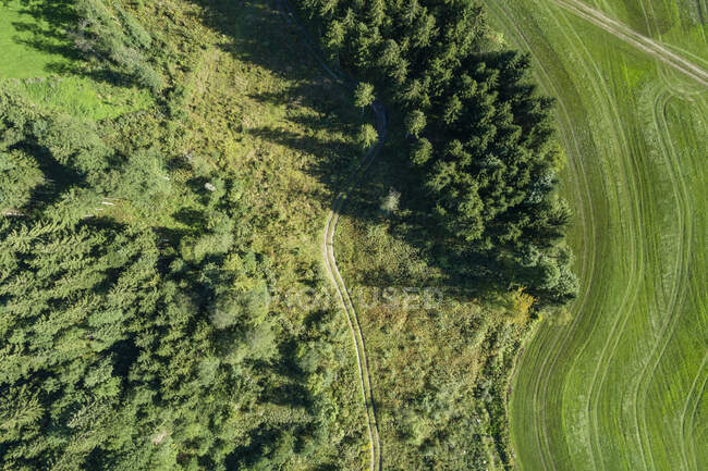 Germania, Baviera, Drone vista del verde boschetto e prato in estate — Foto stock