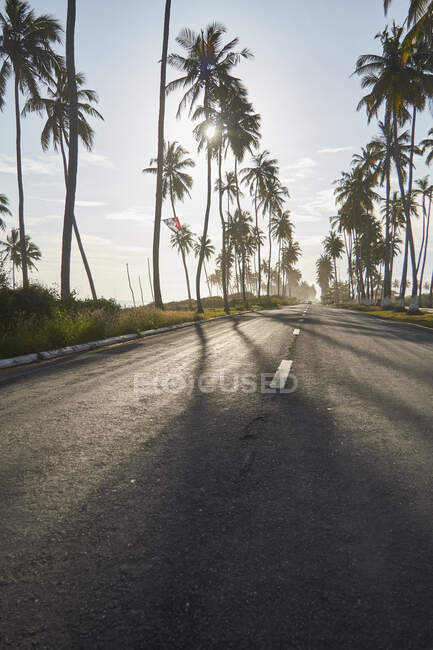 Ghana, Sun shining over palm trees along empty asphalt road — Stock Photo