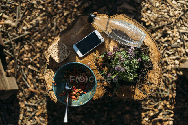 Смартфон, закуски, бутылка с растением и водой на пне дерева — стоковое фото