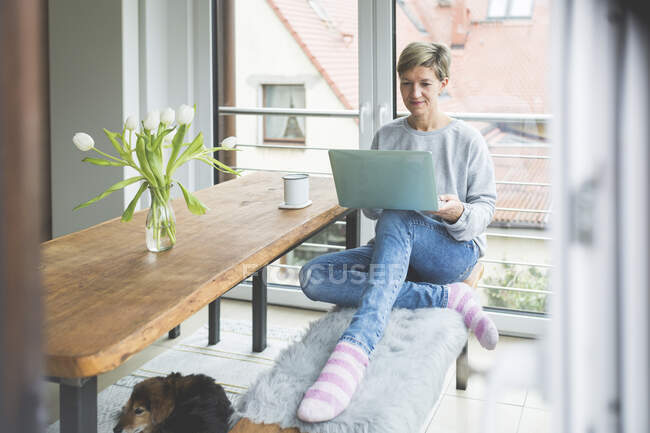 Mature woman working from home, using laptop, sitting on bench — Stock Photo