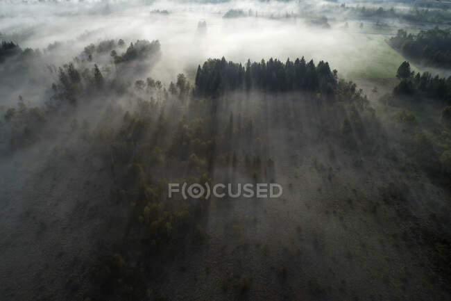 Германия, Бавария, Гармиш-Партенкирхен, вид на болота Мурнауэр-Мус с туманным рассветом — стоковое фото