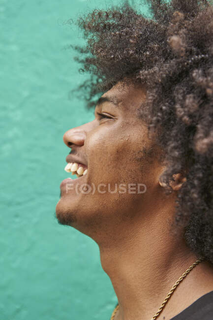 Perfil de joven risueño con afro contra pared verde - foto de stock