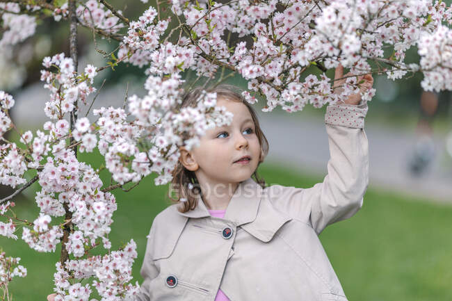 Retrato de una niña en un parque viendo flores de cerezo japonés - foto de stock