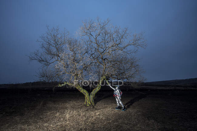 Космічна жінка знайшла дерево увечері. — стокове фото