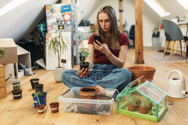 Junge Frau macht Smartphone-Foto von Pflanzen auf Holzboden — Stockfoto