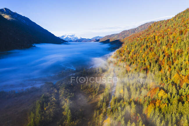 Germania, Baviera, Nebbia che galleggia sul fiume Isar che scorre attraverso la valle boscosa nelle montagne di Wetterstein — Foto stock