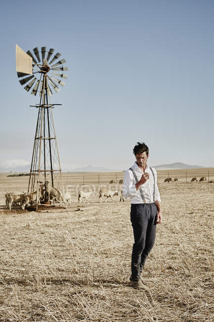 Hombre vestido a la antigua con rebaño de ovejas en el campo - foto de stock