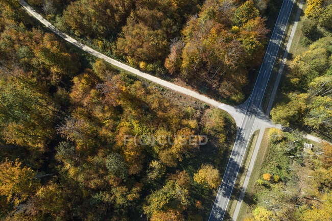Deutschland, Baden-Württemberg, Drohnen-Ansicht einer Straßenkreuzung mitten im herbstlichen Wald — Stockfoto