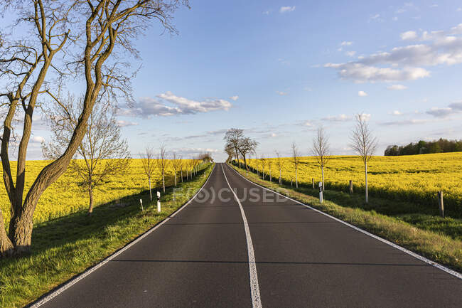 Alemanha, Brandemburgo, Estrada rural vazia que se estende entre campos de colza na Primavera — Fotografia de Stock