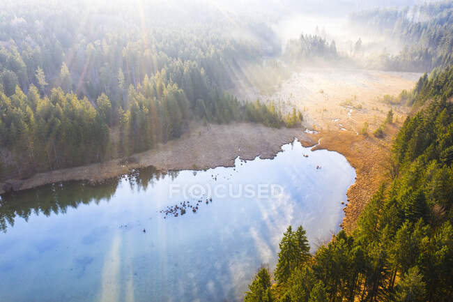Germany, Bavaria, Egling, Drone view of shore of Thanninger Weiher lake at foggy sunrise — Stock Photo