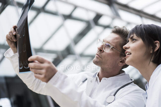 Two doctors looking at x-ray images — Stock Photo