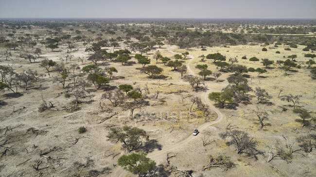Vista aérea del vehículo todoterreno en medio de árboles en el desierto semiárido - foto de stock