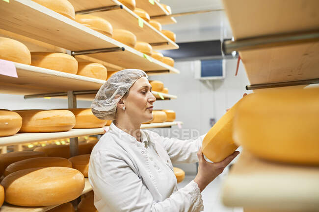 Fromagerie, ouvrière avec meule à fromage dans le cellier — Photo de stock
