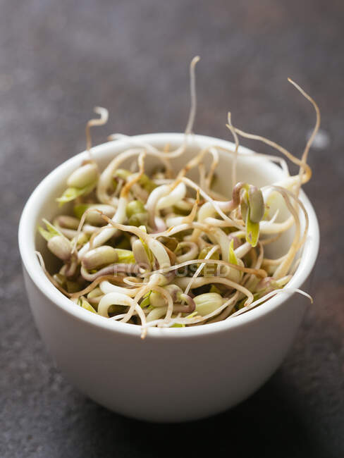 Cuenco de brotes de frijol mungo fresco (Vigna radiata) - foto de stock