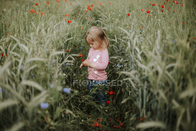 Маленькая девочка, стоящая на поле с маком и пшеницей — стоковое фото