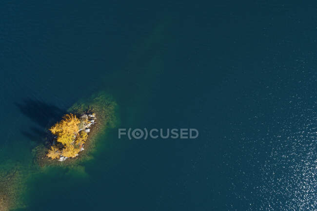 Suisse, Canton des Grisons, Saint-Moritz, Vue de drones de mélèzes sur une petite île du lac de Sils — Photo de stock