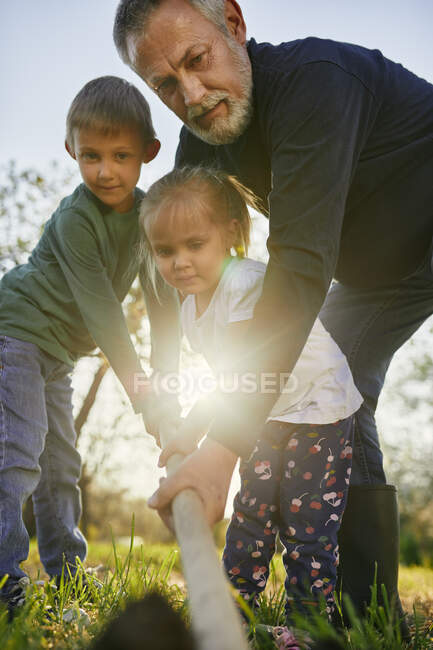 Tiefansicht von Großvater und Enkeln, die mit Schaufel im Garten graben — Stockfoto