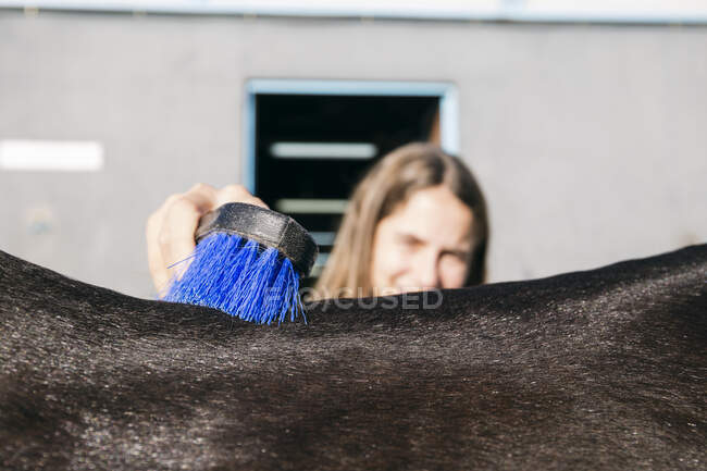 Chica cepillando caballo de vuelta en el rancho en el día soleado - foto de stock