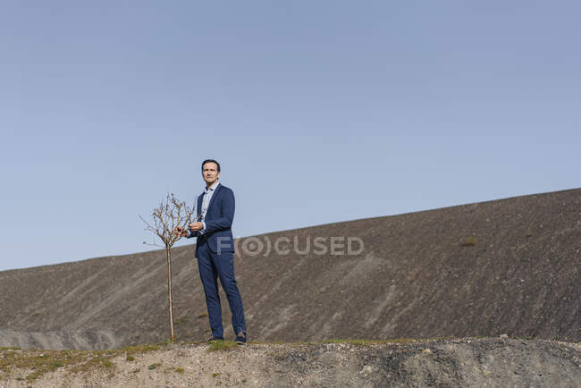 Hombre de negocios maduro con un árbol desnudo en una punta de mina en desuso - foto de stock