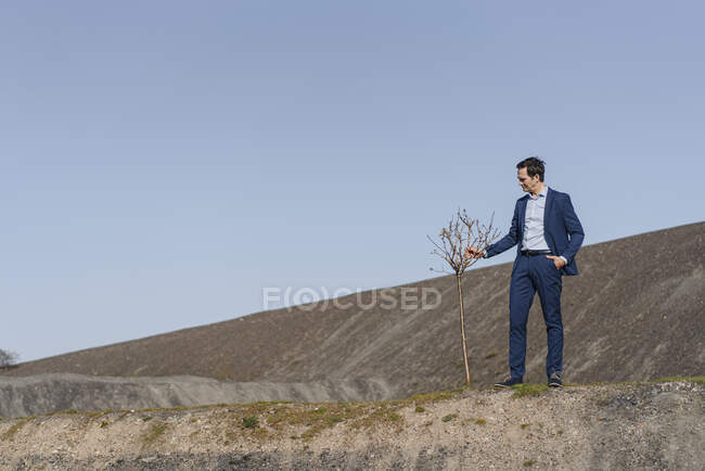 Reifer Geschäftsmann mit kahlem Baum auf stillgelegter Minenspitze — Stockfoto