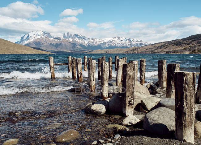 Postos de madeira em Laguna Azul, Parque Nacional Torres del Paine, Chile — Fotografia de Stock