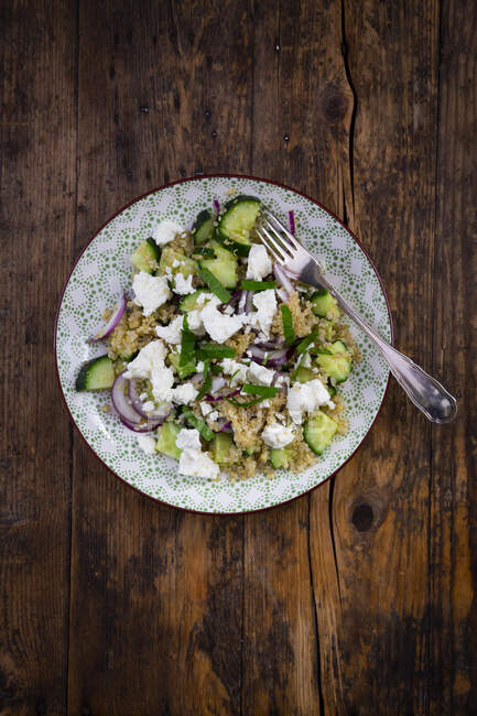Assiette de salade végétarienne aux concombres, quinoa, fromage feta, oignons rouges et menthe — Photo de stock