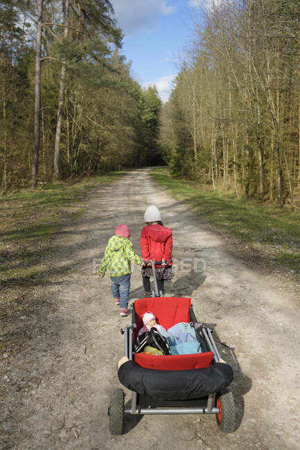 Visão traseira de duas irmãs puxando carrinho na trilha da floresta — Fotografia de Stock