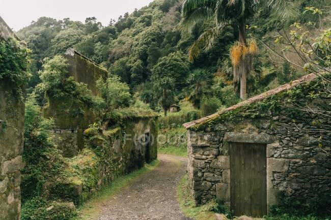 Caminho com casas de pedra abandonadas na Ilha de São Miguel, Açores, Portugal — Fotografia de Stock