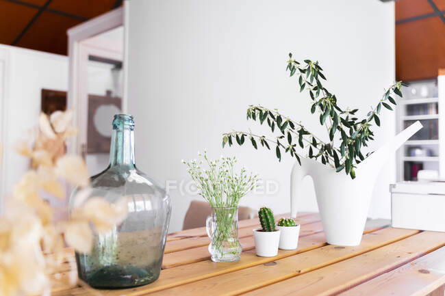 Close-up of houseplants on table against wall at home — Stock Photo